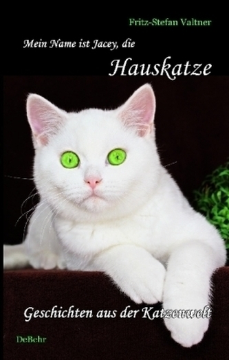Mein Name ist Jacey, die Hauskatze