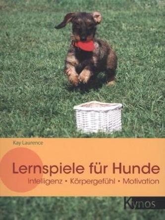 Lernspiele für Hunde