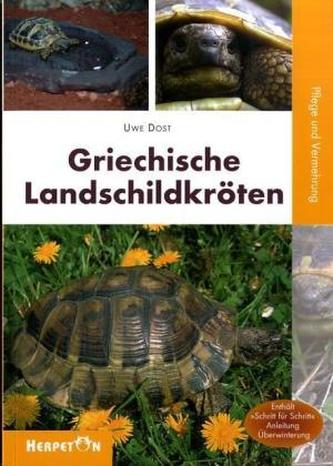 Griechische Landschildkröten