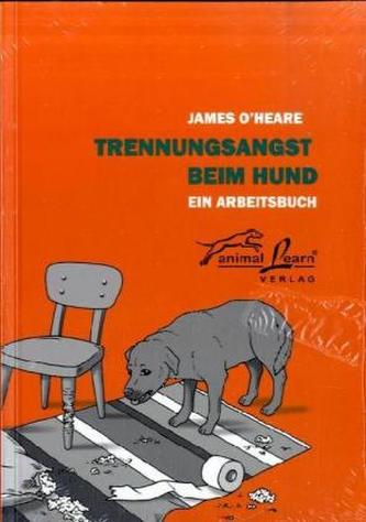 Trennungsangst beim Hund