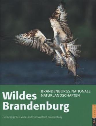Wildes Brandenburg