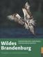 Wildes Brandenburg