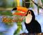 Pantanal