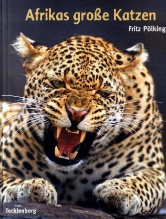 Afrikas große Katzen