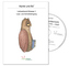 Klasse 1, Lese- und Schreiblehrgang, Lehrerband m. Verkehrs-Audio-CD