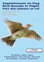 Vogelstimmen im Flug, MP3-CD + Begleitbuch