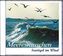 Meeresrauschen, Audio-CD
