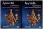 Ayurveda-Lehrbuch, 2 Bde.