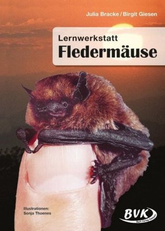 Lernwerkstatt Fledermäuse
