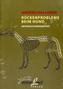 Rückenprobleme beim Hund