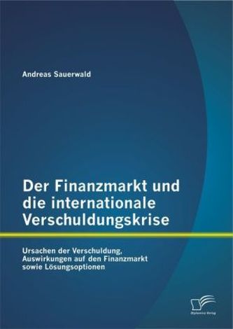 Der Finanzmarkt und die internationale Verschuldungskrise: Ursachen der Verschuldung, Auswirkungen auf den Finanzmarkt sowie Lös