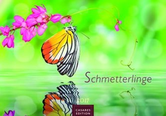 Schmetterlinge 2017