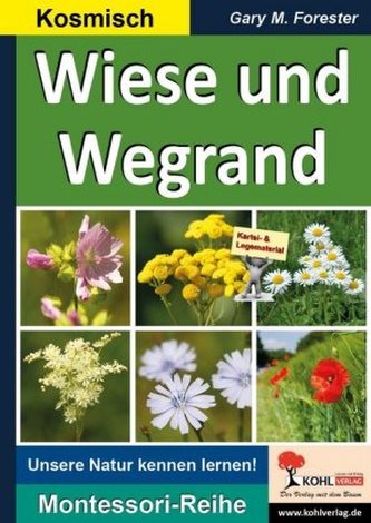 Wiese und Wegrand