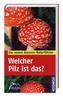 Welcher Pilz ist das?
