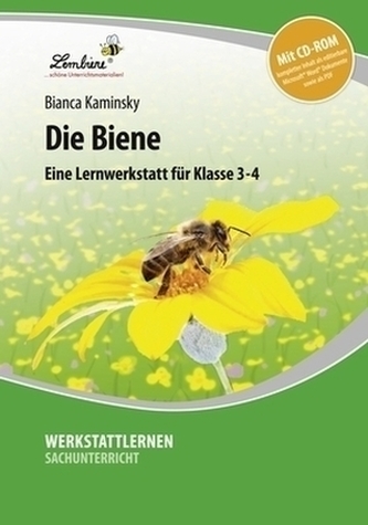 Die Biene, m. CD-ROM