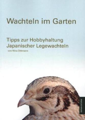 Wachteln im Garten
