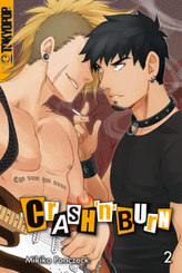 Crash 'n' Burn. Bd.2