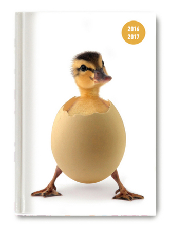 Collegetimer A6 day by day Chick 2016/2017