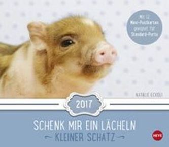 Kleiner Schatz Maxi Postkartenkalender 2017