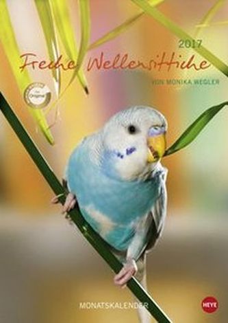 Wegler Wellensittiche A4 2017