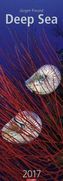 Deep Sea 2017