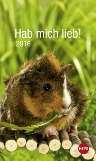 Hab mich lieb! Meerschweinchen 2016
