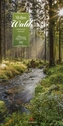 Mythos Wald 2017