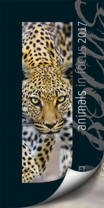 Animals in Focus 2017