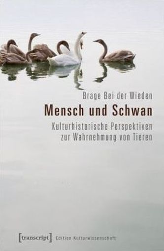 Mensch und Schwan