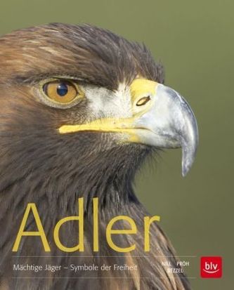Adler
