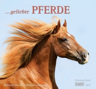... geliebte Pferde 2017