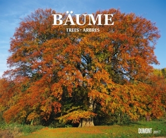 Bäume 2017
