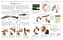 Survival-Handbuch