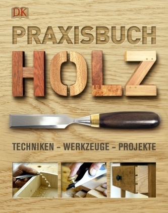 Praxisbuch Holz