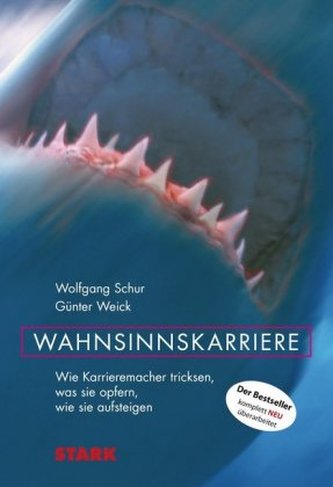 Wahnsinnskarriere