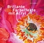 Brillante Farbeffekte mit Acryl