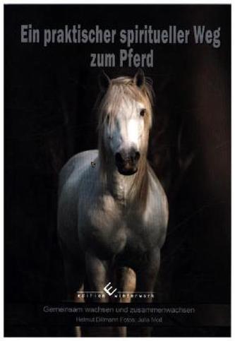 Ein praktischer spiritueller Weg zum Pferd