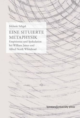 Eine situierte Metaphysik