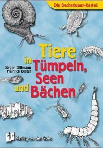 Die Becherlupen-Kartei: Tiere in Tümpeln, Seen und Bächen