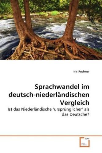 Sprachwandel im deutsch-niederländischen Vergleich