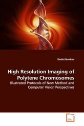 High Resolution Imaging of Polytene Chromosomes