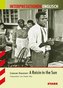 Lorraine Hansberry: A Raisin in the Sun
