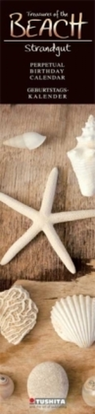 Treasures of the Beach / Strandgut