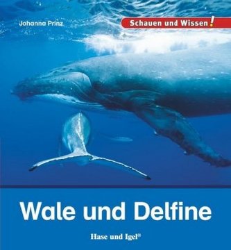 Wale und Delfine Wale und Delfine