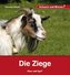 Die Ziege