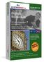 Englisch-Businesskurs, DVD-ROM