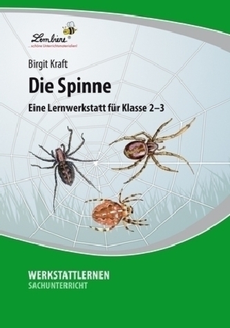 Die Spinne