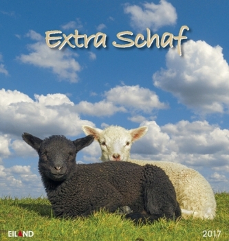 Extra Schaf 2017