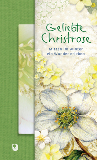 Geliebte Christrose