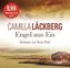 Engel aus Eis, 4 Audio-CDs